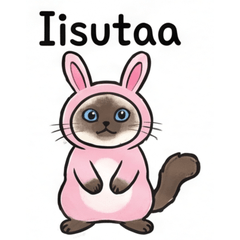 芸術的なバーマン猫：現代の生活