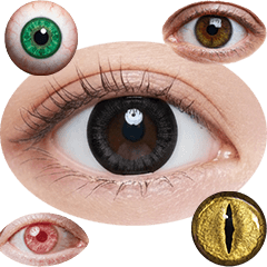 眼球・目　実写