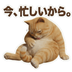 生意気でリアルなデブ猫スタンプ（塩対応）