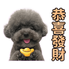 Seven's holiday wishes.