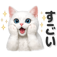 毎日使える！ 白猫