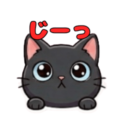 毎日使える！表情豊かな黒ネコ