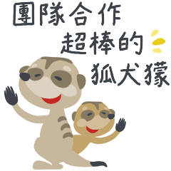 Meerkats with strong teamwork -Ch