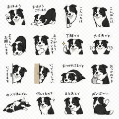 ボーダーコリーのゆる挨拶