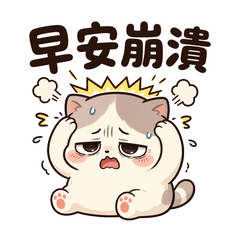 Meltdown Cat Daily