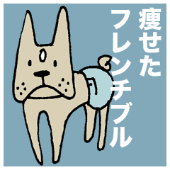 痩せたフレンチブル