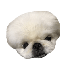 あいあむふうが