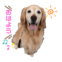 キーパーとラスティー