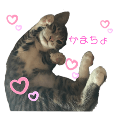 すももちゃん♡