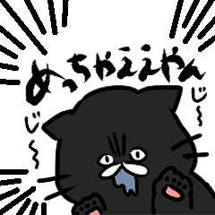 関西弁！よく喋るエキゾチックショートヘア