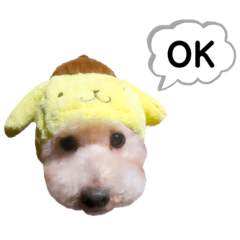 モカのスタンプ①