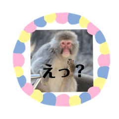 動物達のひとり言