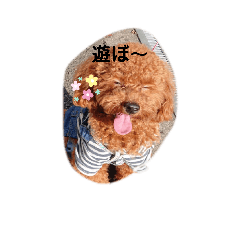 こたのあいさつスタンプ