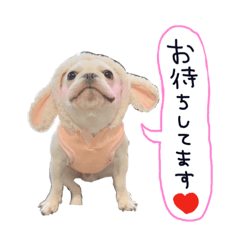 フレブルびょるたん①