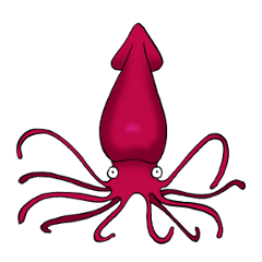 イカしていない烏賊