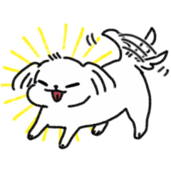 関西弁をちょっと話すマルチーズ