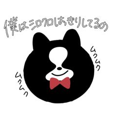 僕はボーダーコリー！2