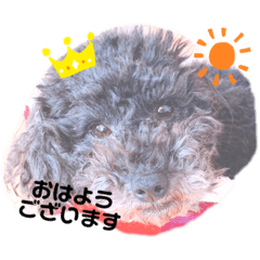 黒プゥ‪︎❤︎‪︎alan