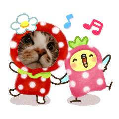 ノアCATスタンプ