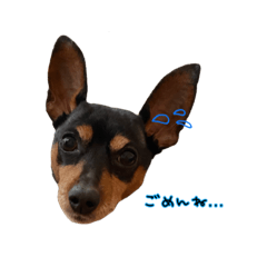 ラルフくんすたんぷ！