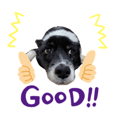 メロディーのスタンプ