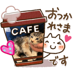 楓華とゆかいな仲間たち