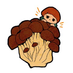 きのこの妖精くん