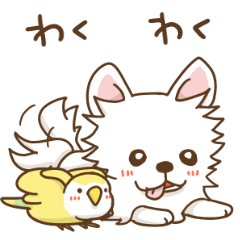 チワワのそうじろう