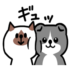 ニャンとスコさん