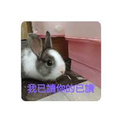 Vivian_20200915194924