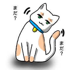 ねこのまゆげ