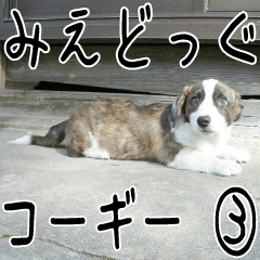 みえどっぐスタンプ コーギーカーディ編 ３