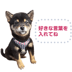 やさしい柴犬メッセージスタンプ
