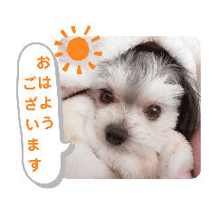 小鉄のごあいさつ