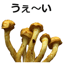 なめこ。