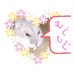 モチハムスタンプ