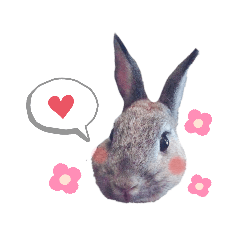 うさぎのムクモコ