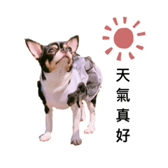 Lin lin_20210504183655