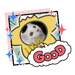 Cat Love_20210527191730