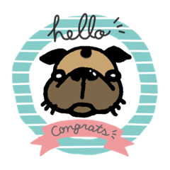 ブルパグさん（犬）