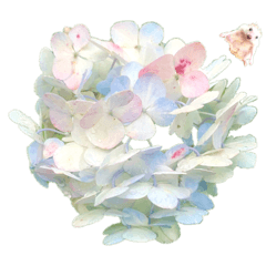 花　モルモット　ハリネズミ　ロブスター