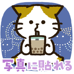 チャンパチとあそぼ【写真に貼れる！夏】