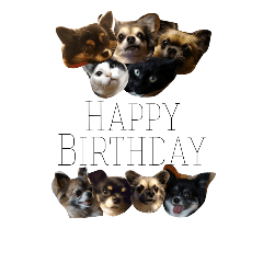 毎日使える我が家のわんにゃんスタンプ