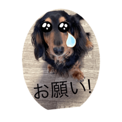 ジムしか勝たんスタンプ