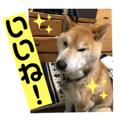 梅吉くん　弍の巻