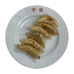 gyoza is good.