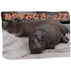 日常の一コマより