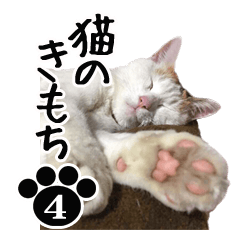 猫のきもち 4