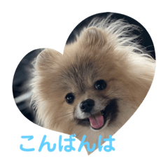 みるく＆れおのごあいさつ