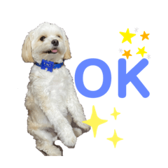 マワマルのまる